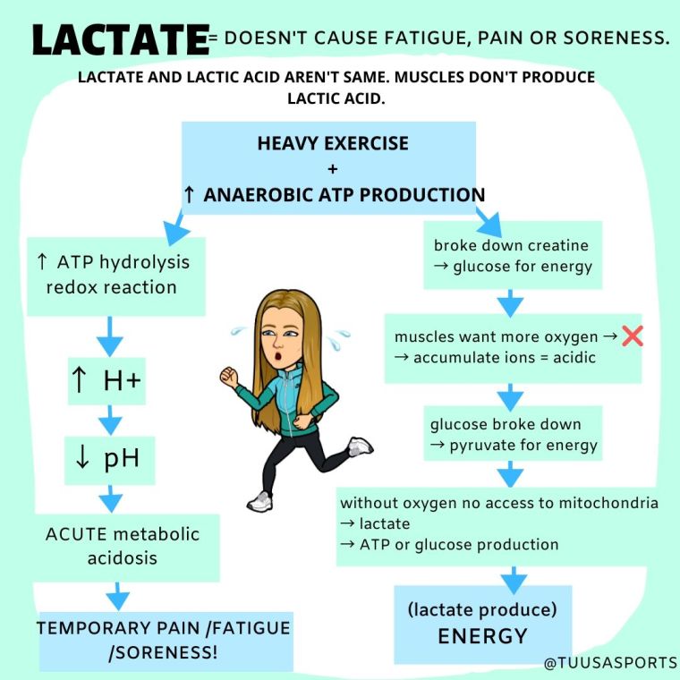 Science Talk: The Truth About Lactate And Lactic Acid - Tuusa Sports