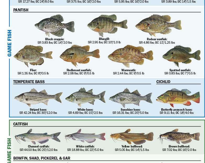 Freshwater Fish Of Florida - Florida Freshwater Fishing | Eregulations