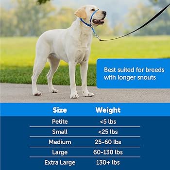 Amazon.Com : Petsafe Gentle Leader No-Pull Dog Headcollar - The Ultimate  Solution To Pulling - Redirects Your Dog'S Pulling For Easier Walks - Helps  You Regain Control - Large, Black : Pet Supplies