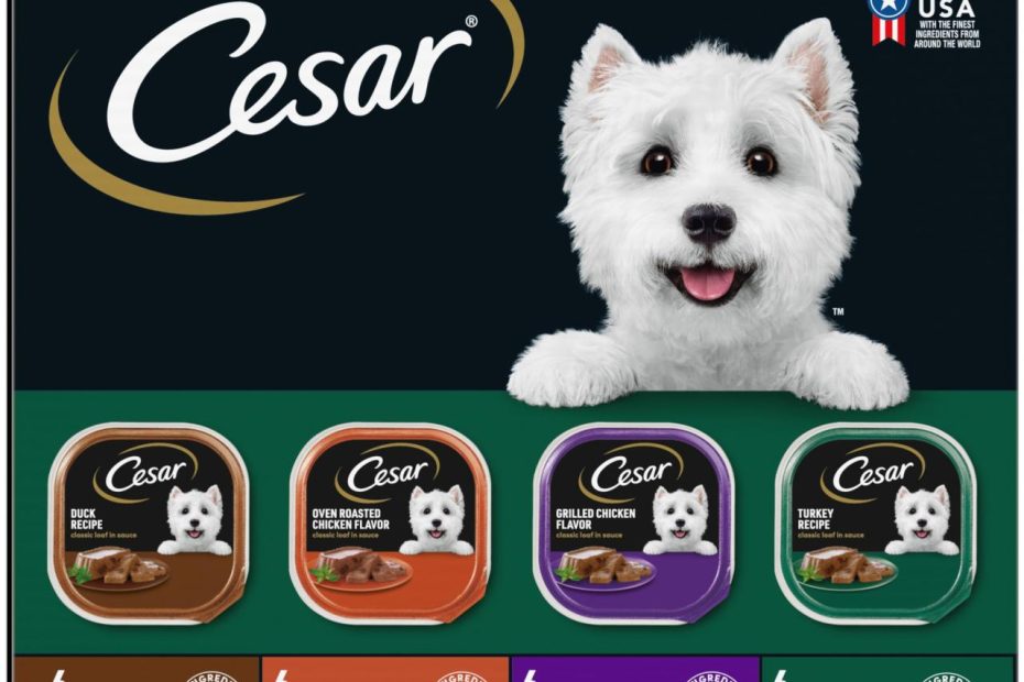 Cesar Adult Wet Dog Food Classic Loaf In Sauce Poultry Variety Pack,. Easy  Peel Trays With Real Chicken, Turkey Or Duck, 3.5 Ounce (Pack Of 24): Pet  Supplies: Amazon.Com
