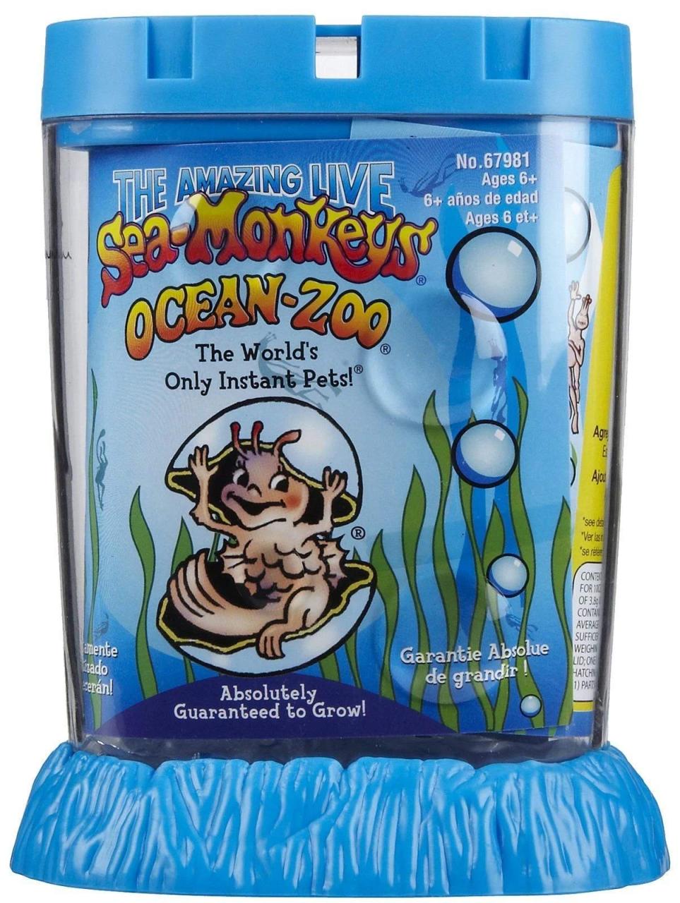 Amazon.Com: Schylling Sea Monkeys Ocean Zoo - Colors May Vary : Toys & Games