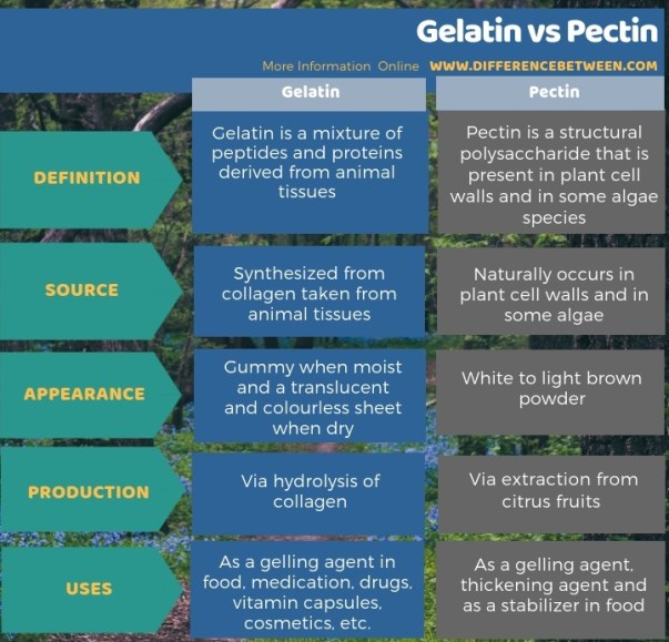 Difference Between Gelatin And Pectin | Compare The Difference Between  Similar Terms