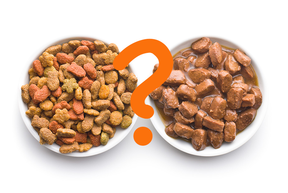 Dry Food Vs Wet Food: Which Is Right For Your Dog?