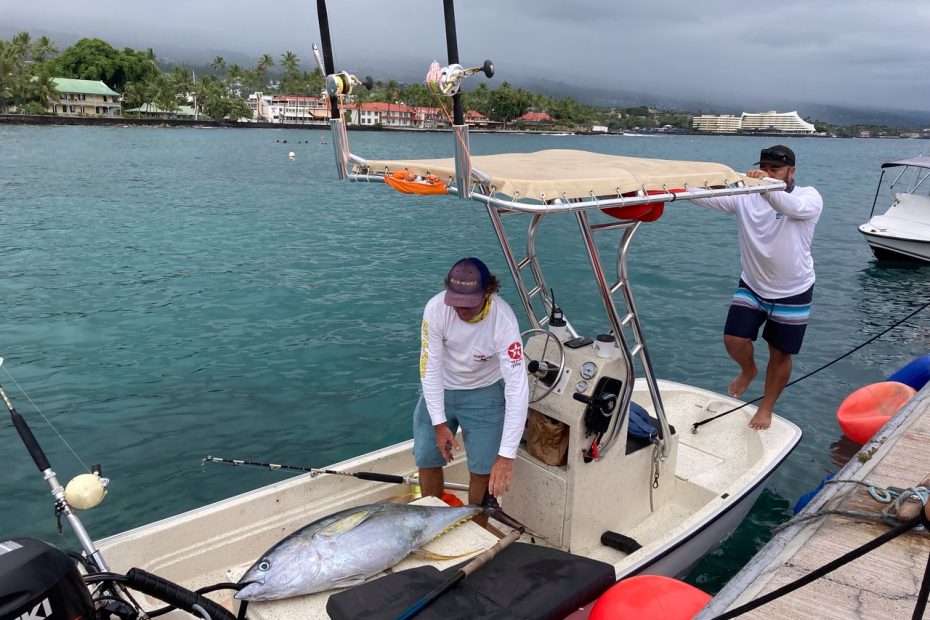 Support Small Fishermen By Making It Easier To Buy Fresh Off The Boat -  Honolulu Civil Beat