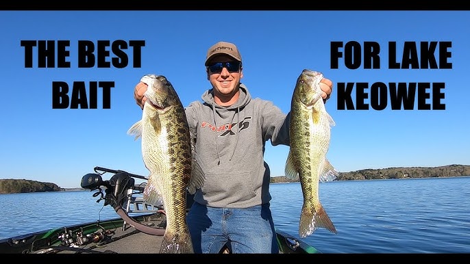 Keep This Bait A Secret ! -- Lake Keowee, Sc - Youtube