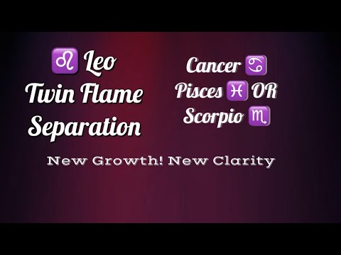 Leo Twin Flames (Scorpio, Cancer Or Pisces? Separation - Youtube