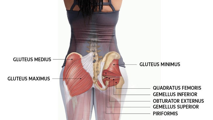 How To Work And Use Your Glute Muscles Correctly In Yoga