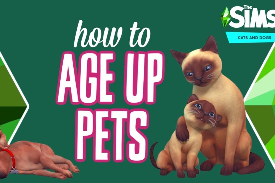 How To Age Up Pets In The Sims 4: Cats & Dogs 🐱🐶 - Youtube