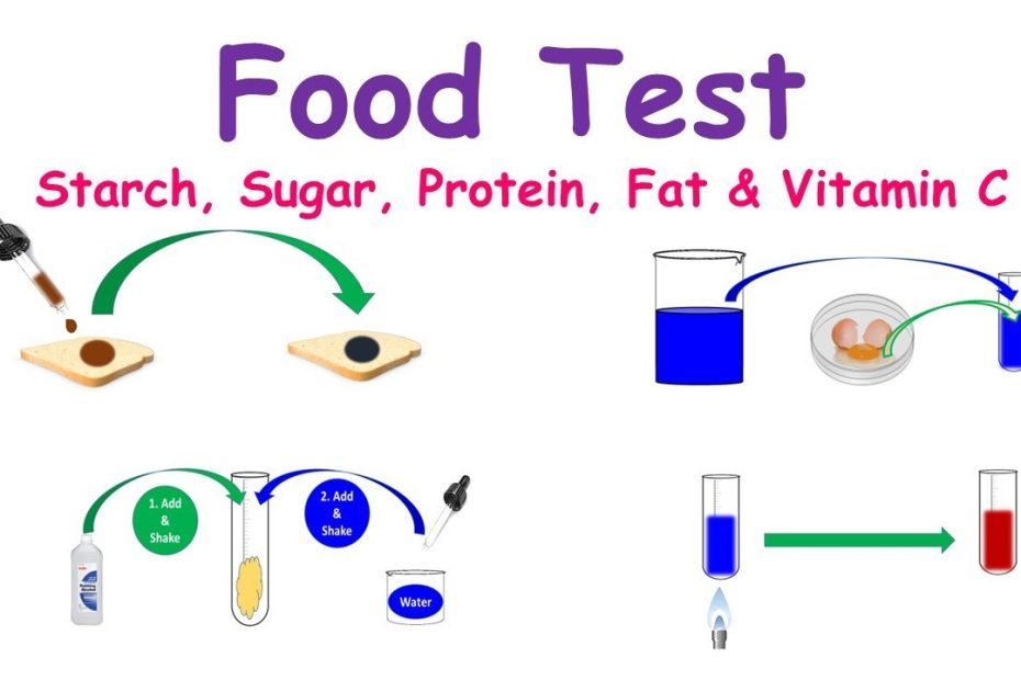 Food Test Experiments (Testing For: Starch, Proteins, Sugar, Fats & Vitamin  C) - Youtube