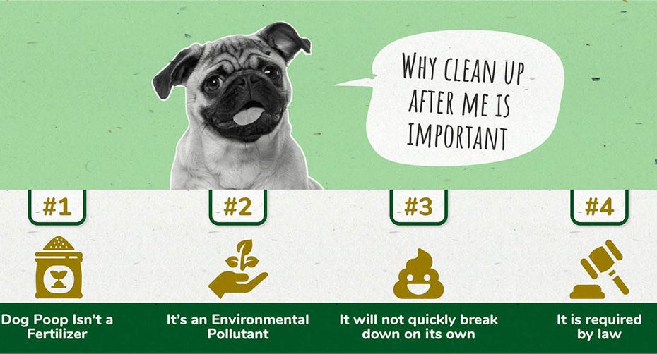 Dog Poop Clean-Up: 11 Tips To Make Your Life Easier – Poopail