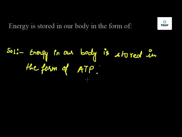 Energy Is Stored In Our Body In The Form Of :